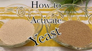 Instant Yeast vs Active Dry Yeast  How to Activate Yeast [upl. by Alvan407]