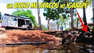 PÂNICO e GRITARIA na TRANSAMAZÔNICA BR 230 Ep 07 [upl. by Atnek]