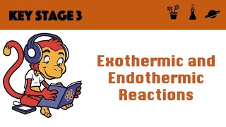 Exothermic and Endothermic Reactions [upl. by Alicia]