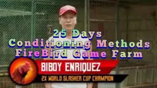 25 Days Conditioning  FireBird Game Farm  By Sir Biboy Enriquez [upl. by Pepe]