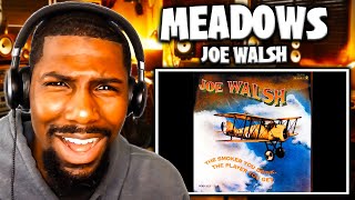 FANTASTIC DRUMS  Meadows  Joe Walsh Reaction [upl. by Anicul]