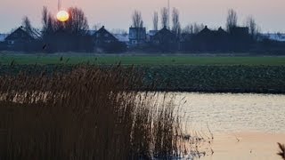 Weerbericht zondag Wadden een sneeuwbui [upl. by Wina]