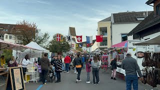 ￼l￼￼ heute fahren nach Wädenswil￼ Horgen bis Welles willswitzeland Schlafmusikswitzeland [upl. by Assillem]