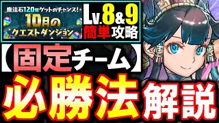 【固定チーム】最も楽な立ち回りがこちら10月のクエスト チャレンジLv8 Lv9攻略法を徹底解説魔法石をサクっとGETしよう【パズドラ】 [upl. by Kennett187]