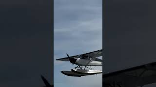 1947 Piper PA12 Super Cruiser Landing West at Lake Hood [upl. by Anihpled734]