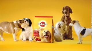 Pedigree® NEW 15sec TVC English [upl. by Liggitt829]