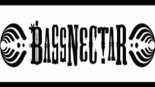 dunkelbunt feat Amsterdam Klezmer Band  La Revedere  Bassnectar Remix [upl. by Arba357]