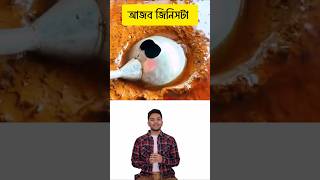 খুব কাজের জিনিস। viralvideo shortfeed shorts trending trendingshorts tipsandtricks [upl. by Trub]