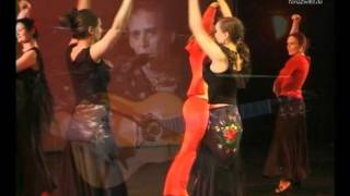 Flamenco tanzen lernen in der Tanzschule Berlin  TanzZwiEt [upl. by Olsen340]