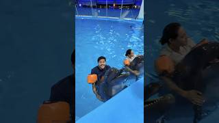 ডলফিনের সাথে রাকিব রিতু সাঁতার কাটছে 😍  Swim With Dolphins 🐬 shorta [upl. by Ayerim]