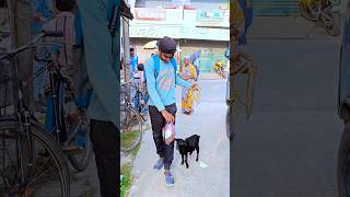 ছাগলকে নিয়ে সারাদিন ঘুরলাম বালুরঘাটে 🐐 minivlog vlog [upl. by Elpmid]