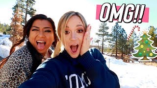 such exciting news omg vlogmas day 11 [upl. by Sillihp]