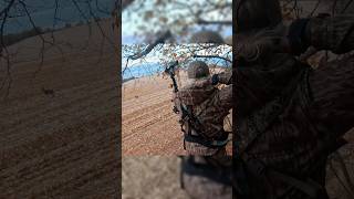 Best Sound in the World as a Bowhunter bowhunting iowadeerseason bigbuckdown [upl. by Eissahc]