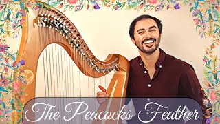 The Peacocks Feather  IRISH HORNPIPE [upl. by Zamora986]