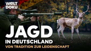 MODERNE JAGD IN DEUTSCHLAND Wildregulierung vs Tierschutz  Wildschweine amp Rehe  WELT HD DOKU [upl. by Nosnorb]