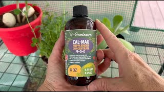 Gardenera Professional CalMag Fertilizer Spray  Gardener Review [upl. by Frye324]