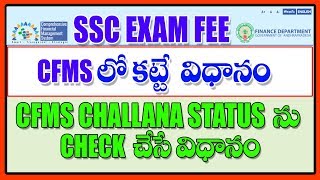 PAY SSC EXAM FEE IN CFMS [upl. by Attemaj]