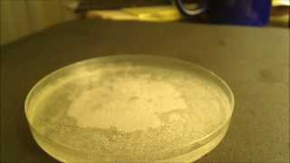 What is the Difference Between Melting and Dissolving [upl. by Waylon425]