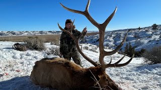 Once in a Lifetime Montana Elk Hunt [upl. by Retniw540]