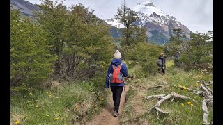 Laguna Torre  El Chalten Santa Cruz Argentina  Full Trekking No Music Just Nature [upl. by Aserehc]