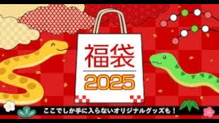 しまむら2025年福袋コレクション 買い物の楽しみと驚きのアドレス [upl. by Meggie]