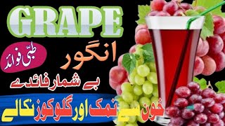 Grape انگور uses benefits medicine treatment [upl. by Eillehs3]