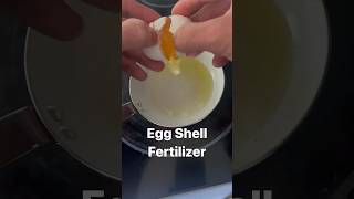 Eggshell Fertilizer Easy [upl. by Slein]