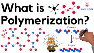 What is Polymerization [upl. by Sigismundo]