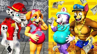 PAW Patrol The Movie 36 ►Rich Chase vs Poor Marshall Skye  What happened to the Paw Patrol Pups [upl. by Dorsy]