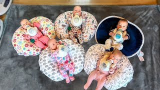 How We Feed Five Babies  Freels Quintuplets  Goat Milk Formula Our 27 Week Preemies Are Thriving [upl. by Akirej]