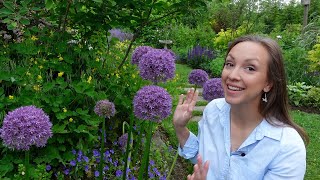 How to Plant Allium Bulbs  Best Allium Varieties for Your Garden  Northlawn Flower Farm [upl. by Zenas758]