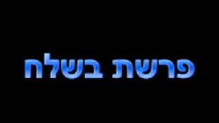 קריאה בתורה פרשת בשלח נוסח ספרדי ירושלמי Beshalach Yerushalmi [upl. by Bax889]