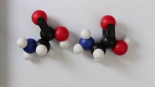 Tutorial using snatoms in a condensation reaction forming a peptide bond [upl. by Sahcnip]