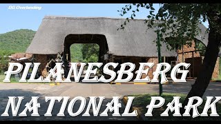 Pilanesberg National Park  Game Reserve  Day Trip  DG Overlanding [upl. by Siesser]