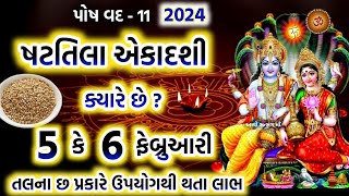 ષટતિલા એકાદશી 2024 ક્યારે છે  પૂજા મુહૂર્ત મહિમા પારણાં  Shattila Ekadashi 2024 Kyare che [upl. by Yensehc]