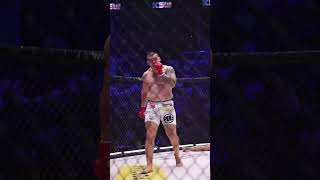 Darko Stosic knocks Martinek out cold  KSW87 ksw shorts [upl. by Vivian]