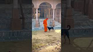 Yogivishalnath punjabi music funny jaigurugorakhnath musicgenre comedy jaigurugorakhnathji [upl. by Lodnar]