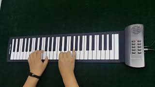 49 Keys Roll Up Piano [upl. by Yecam]