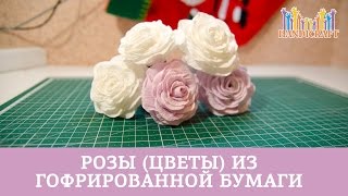 Розы цветы из гофрированной бумаги [upl. by Esaertal379]