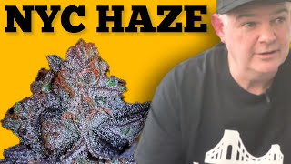 New York Cannabis History The HAZE amp White Boy Kev [upl. by Retsam]