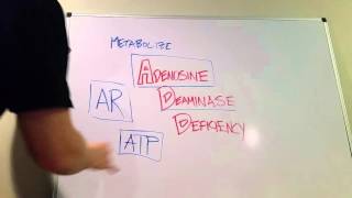 Adenosine Deaminase Deficiency Type of SCID [upl. by Atnauqal]