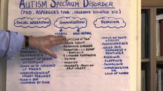 What Is Autism Spectrum Disorder [upl. by Ecinnahs]