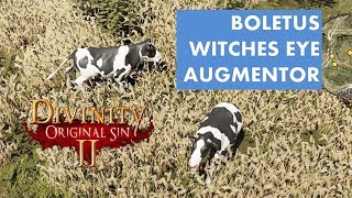 Where to find Boletus  Augmentor amp Witches eye Divinity Original Sin 2 [upl. by Nagn]