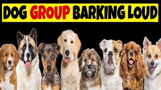 Group of Dogs Barking Sounds to Make your Dog Bark Crazy [upl. by Tersina940]