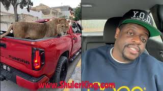 Comedian Shuler King  Loose Lion On A Truck [upl. by Damales37]