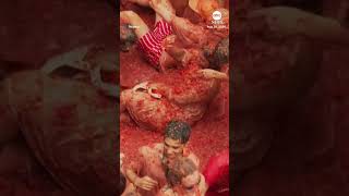 Revelers throw tomatoes in Spains La Tomatina festival [upl. by Nalod]