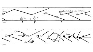 Helmut Lachenmann  Guero Audio  Score [upl. by Klement]