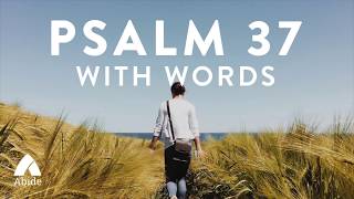 Psalm 37 Abide Bible Meditation  Trust in the Lord and Do Good [upl. by Edlun644]