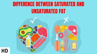 Difference Between Saturated And Unsaturated Fat [upl. by Rickie]