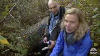 Mushroom Hunting at Buntzen Lake [upl. by Cram]